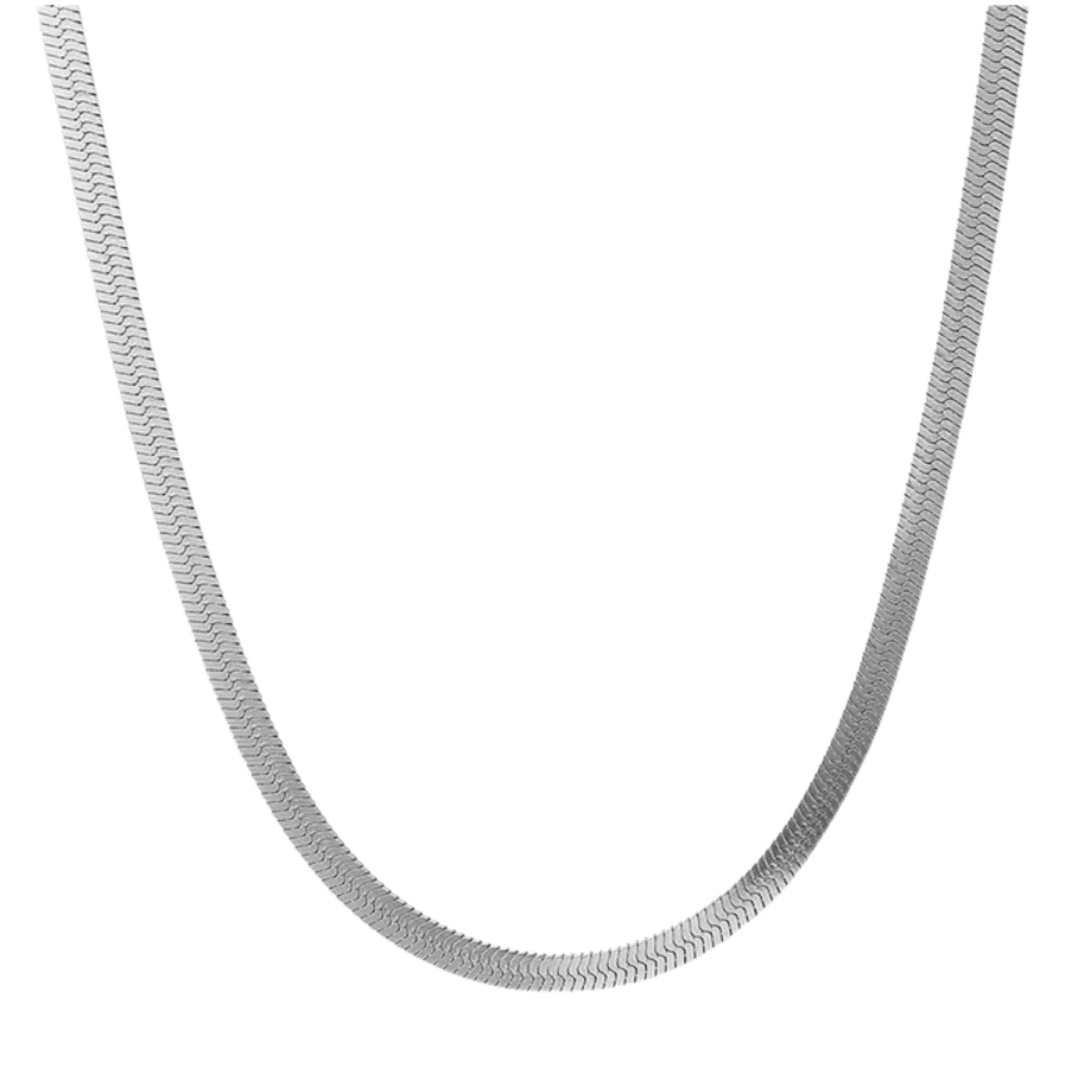 Snake Silver Chain Necklace