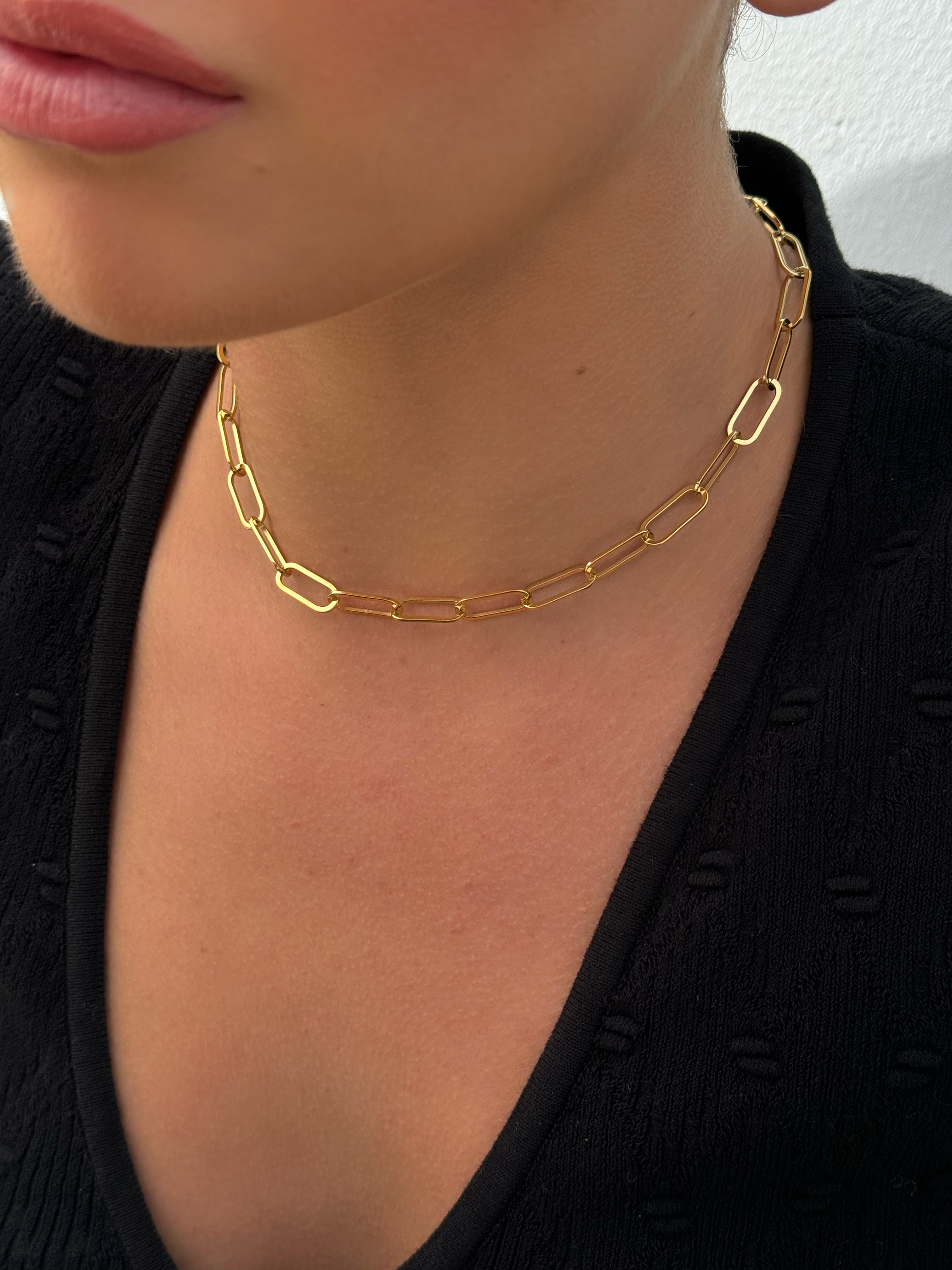 Alonza Choker Necklace