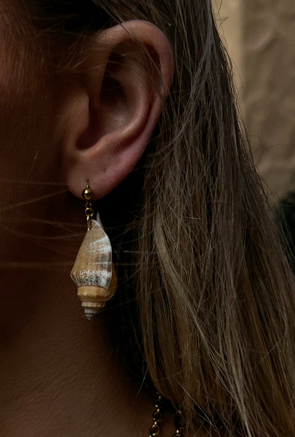 Sally Shell Earrings