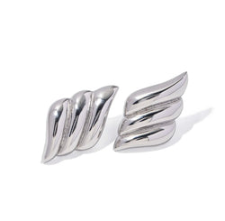 Emz Silver Earrings