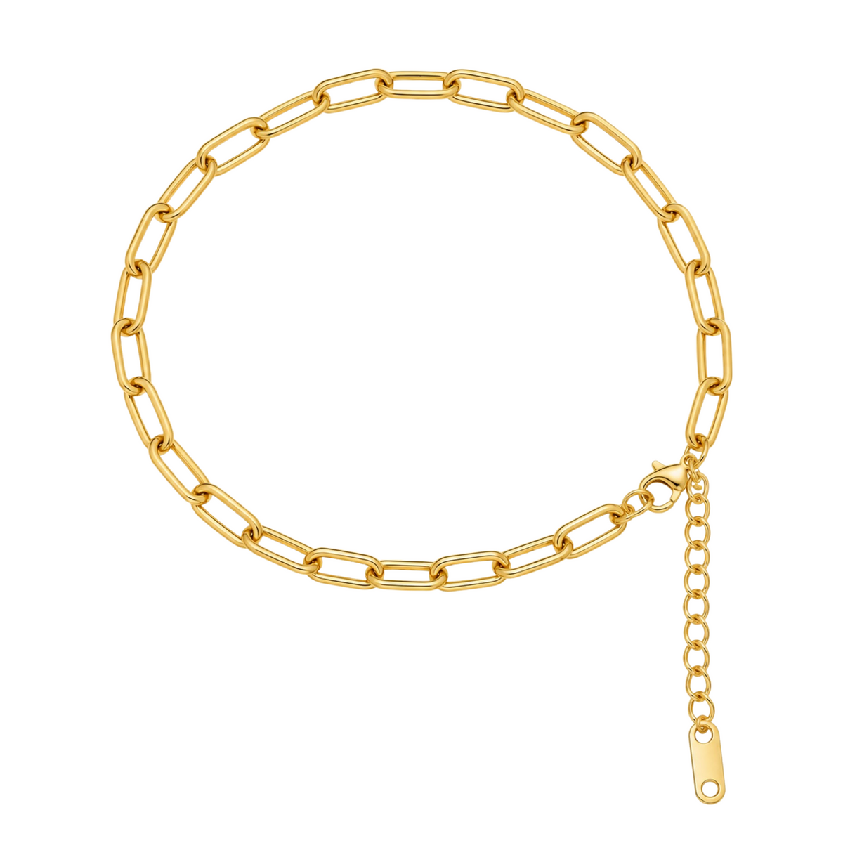 Paperclip Anklet