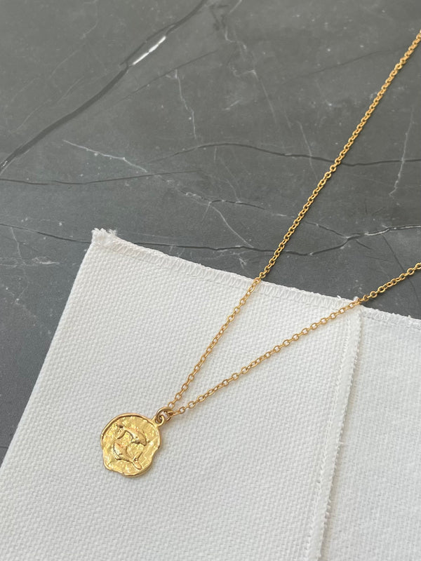 Pisces Horoscope Necklace