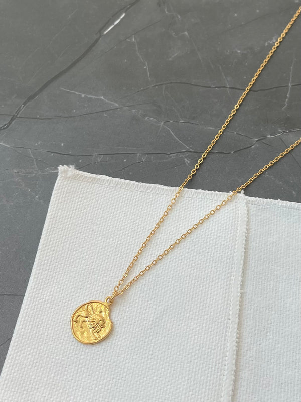 Leo Horoscope Necklace